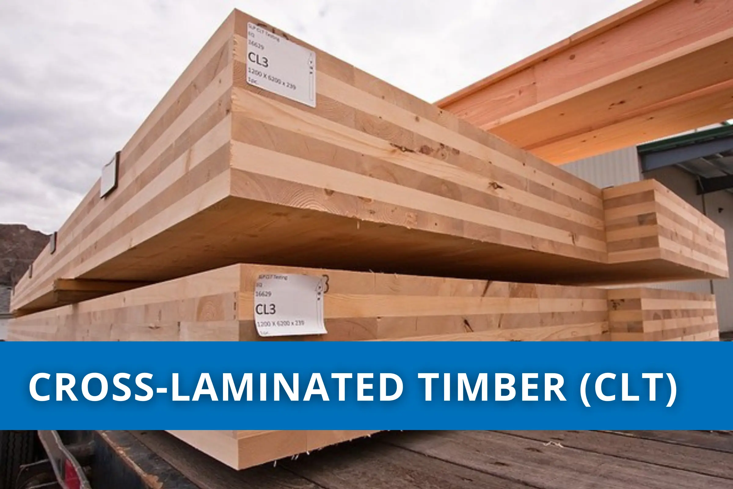 What is Cross-Laminated Timber (CLT) and how is Changing Wood Construction?